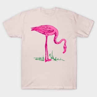 Flamingo T-Shirt